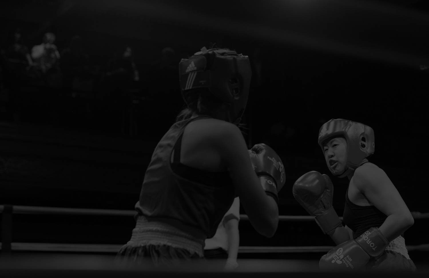 Boxing Action Shot
