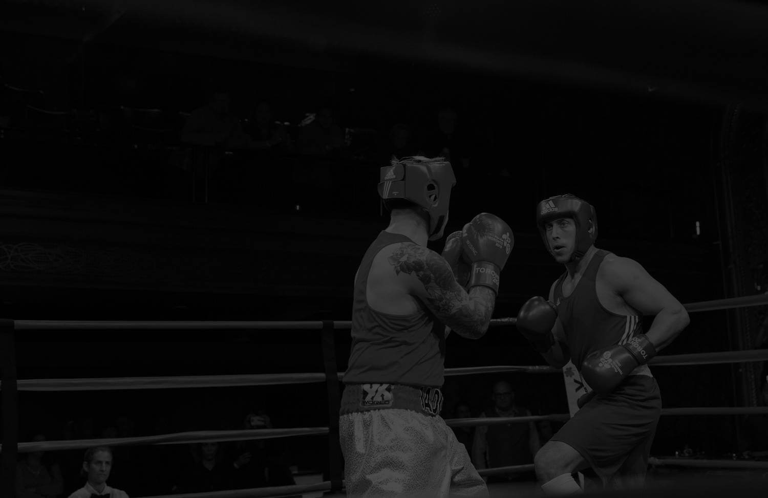 Toronto Real Estate Rumble - Boxers